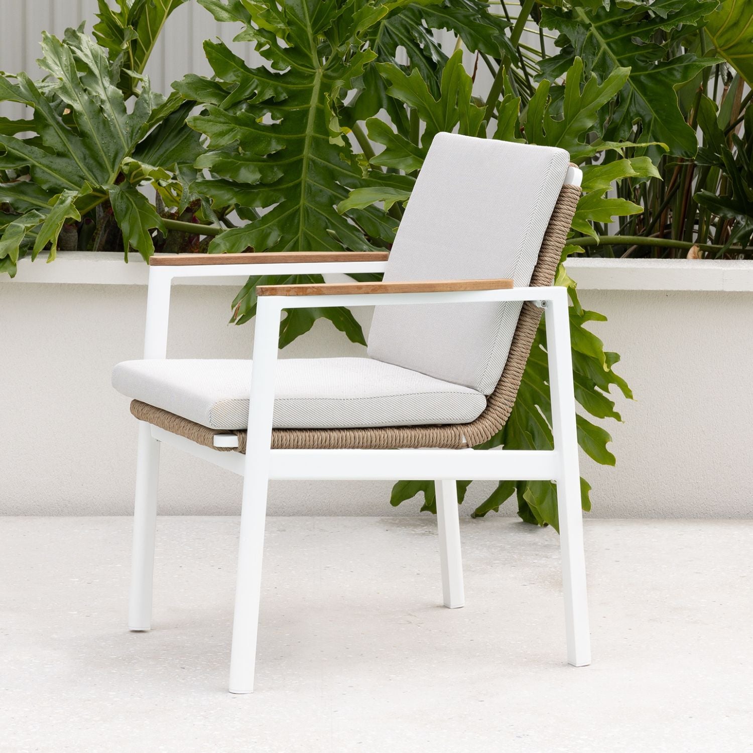 Buy Reyne Dining Chair