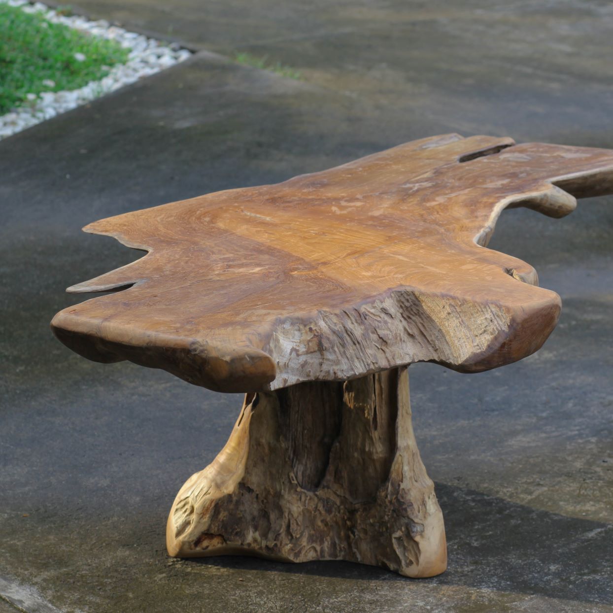 TEAK ROOT WOOD COLLECTION