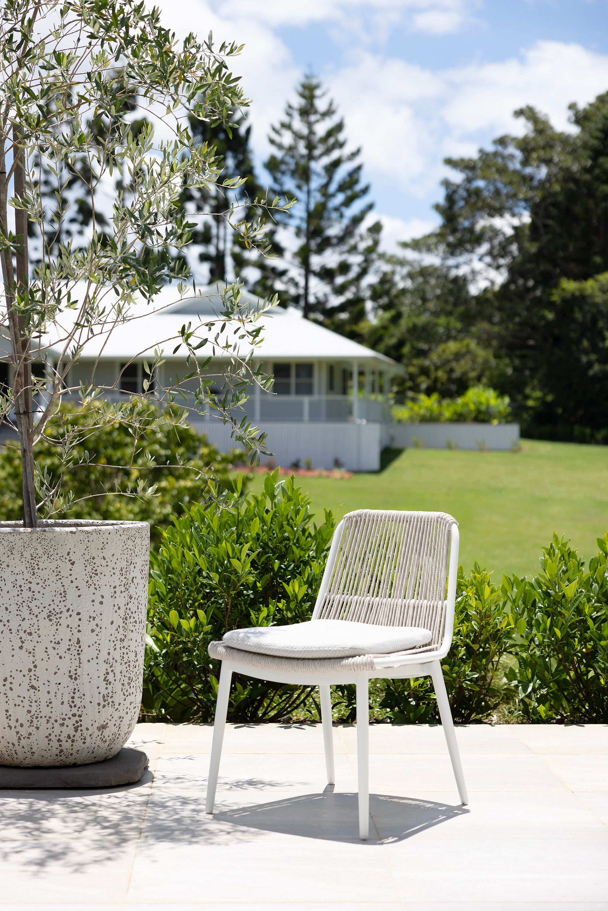 Arona Dining Chair
