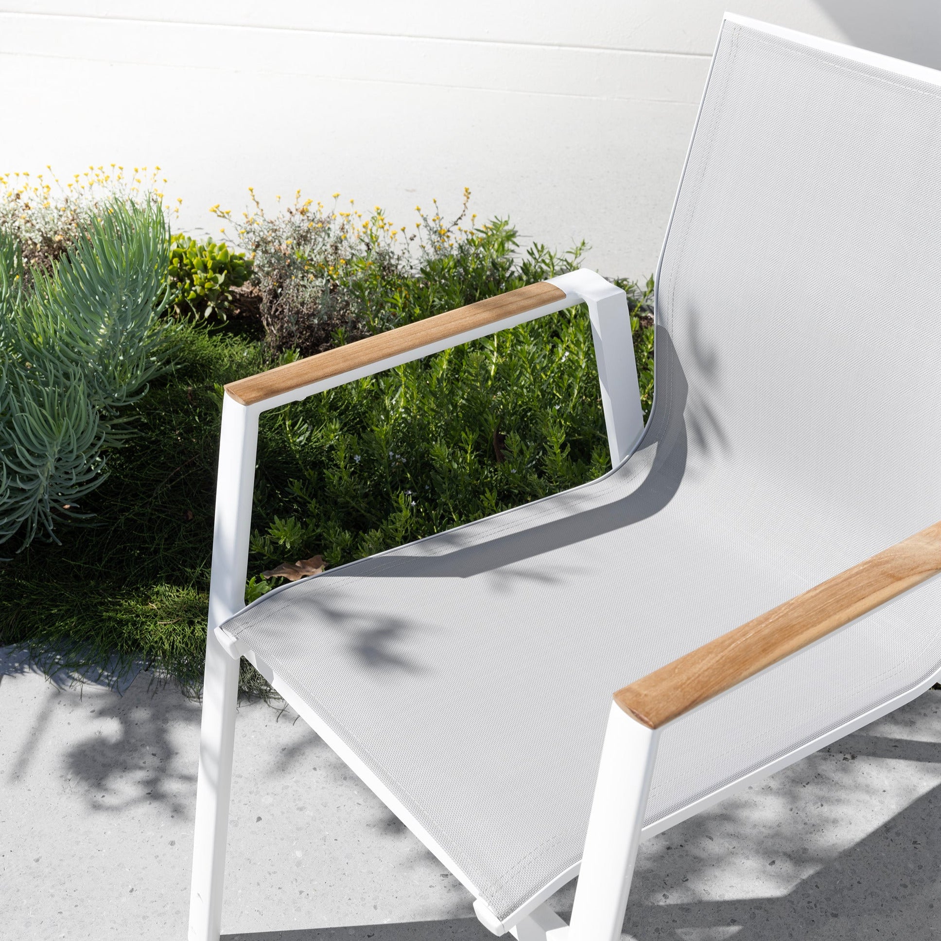 Luca Dining Chair