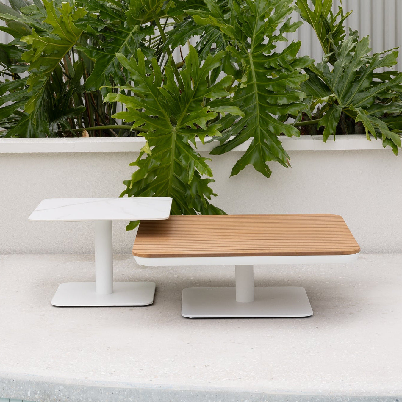 New Wave Coffee Table - Large