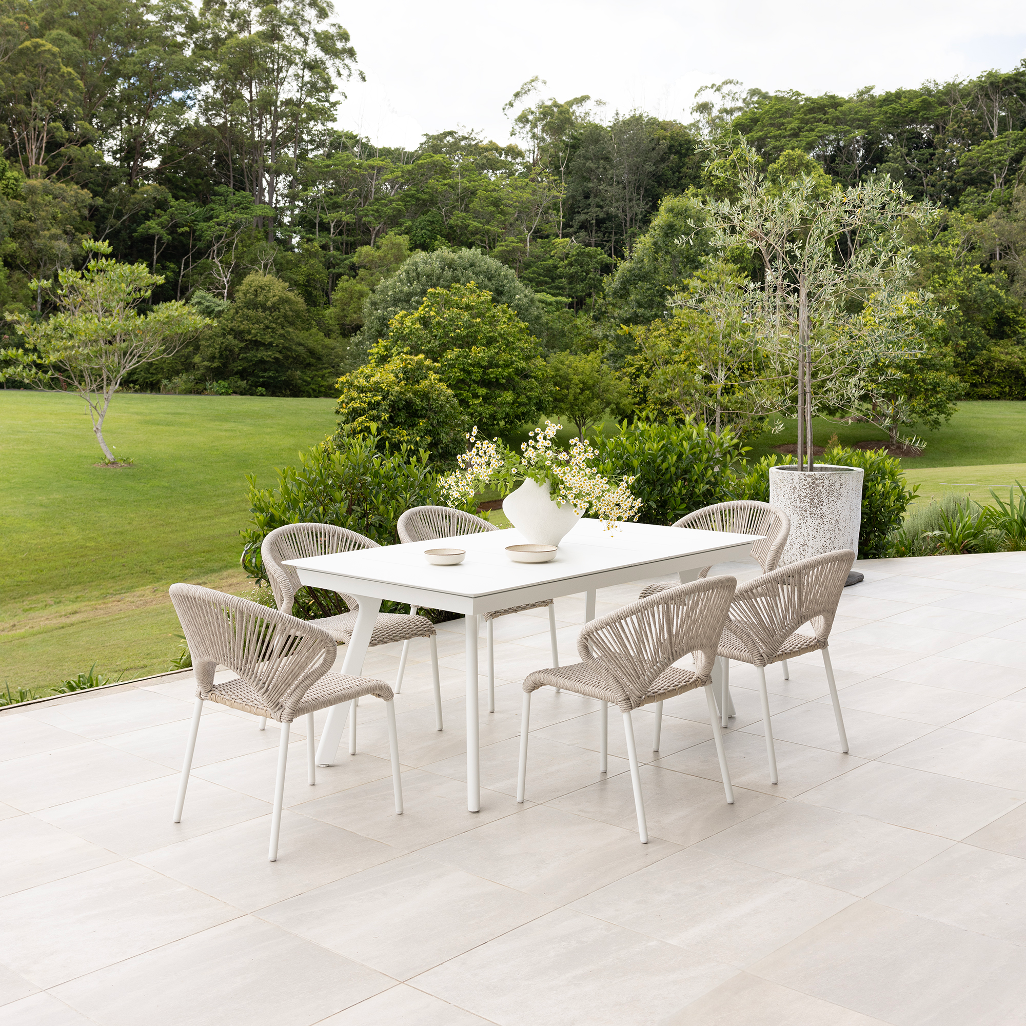 Holly Dining Chair