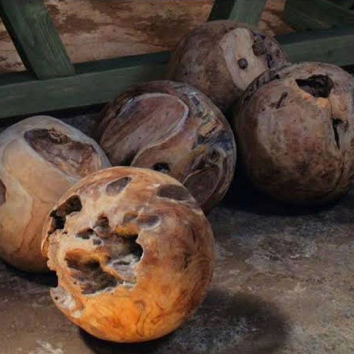 TEAK ROOT WOOD COLLECTION