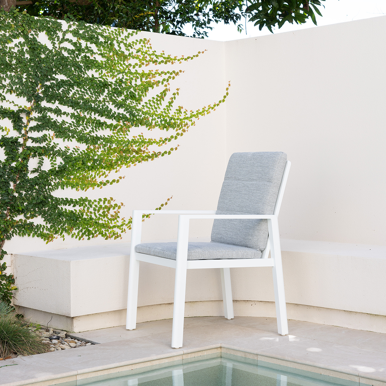 TREND DINING CHAIR