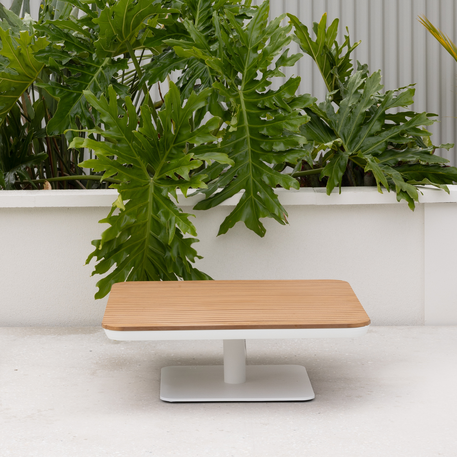 New Wave Coffee Table - Large