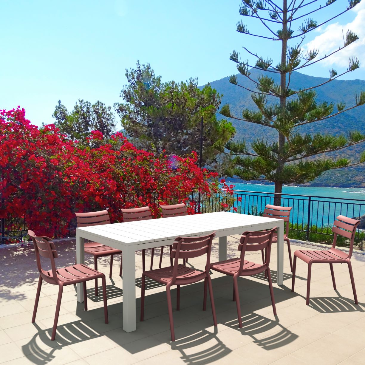 Paola Dining Chair