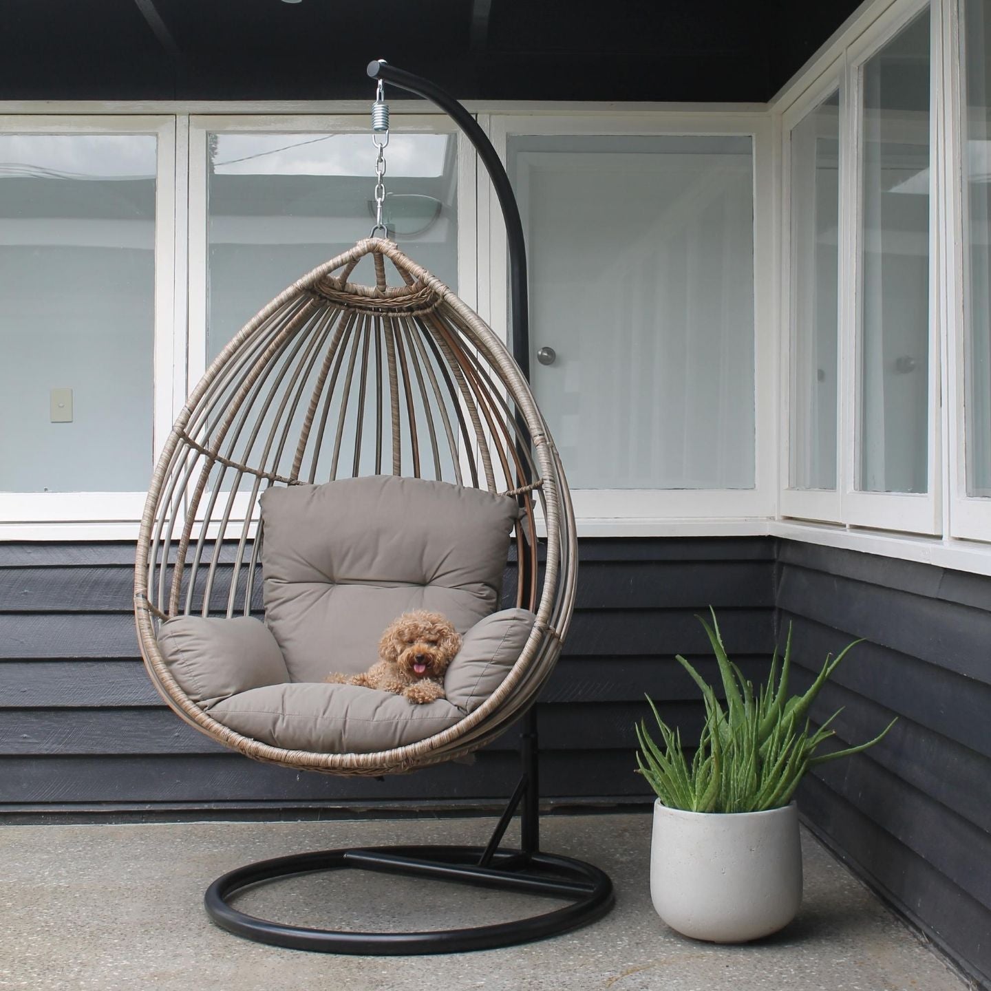 Buy Eden Hanging Chair