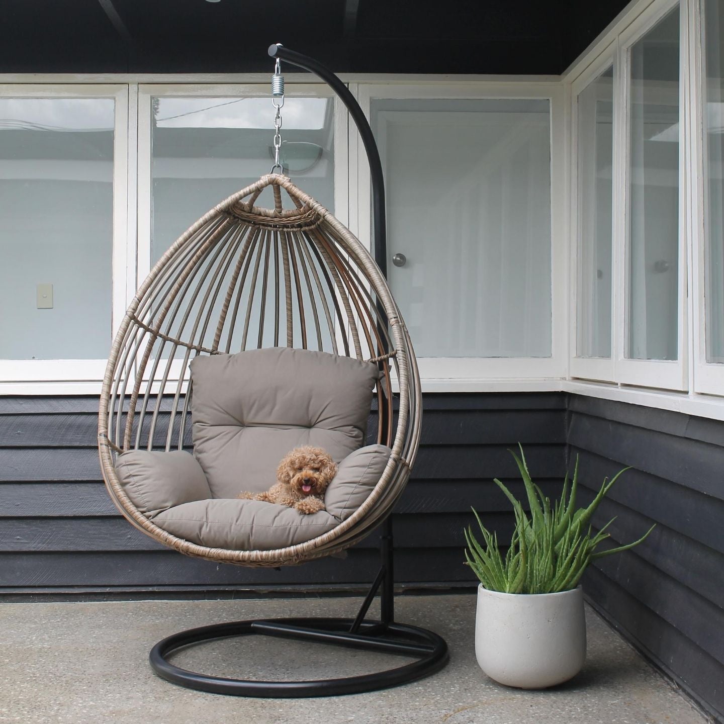 Buy Eden Hanging Chair - Main Image