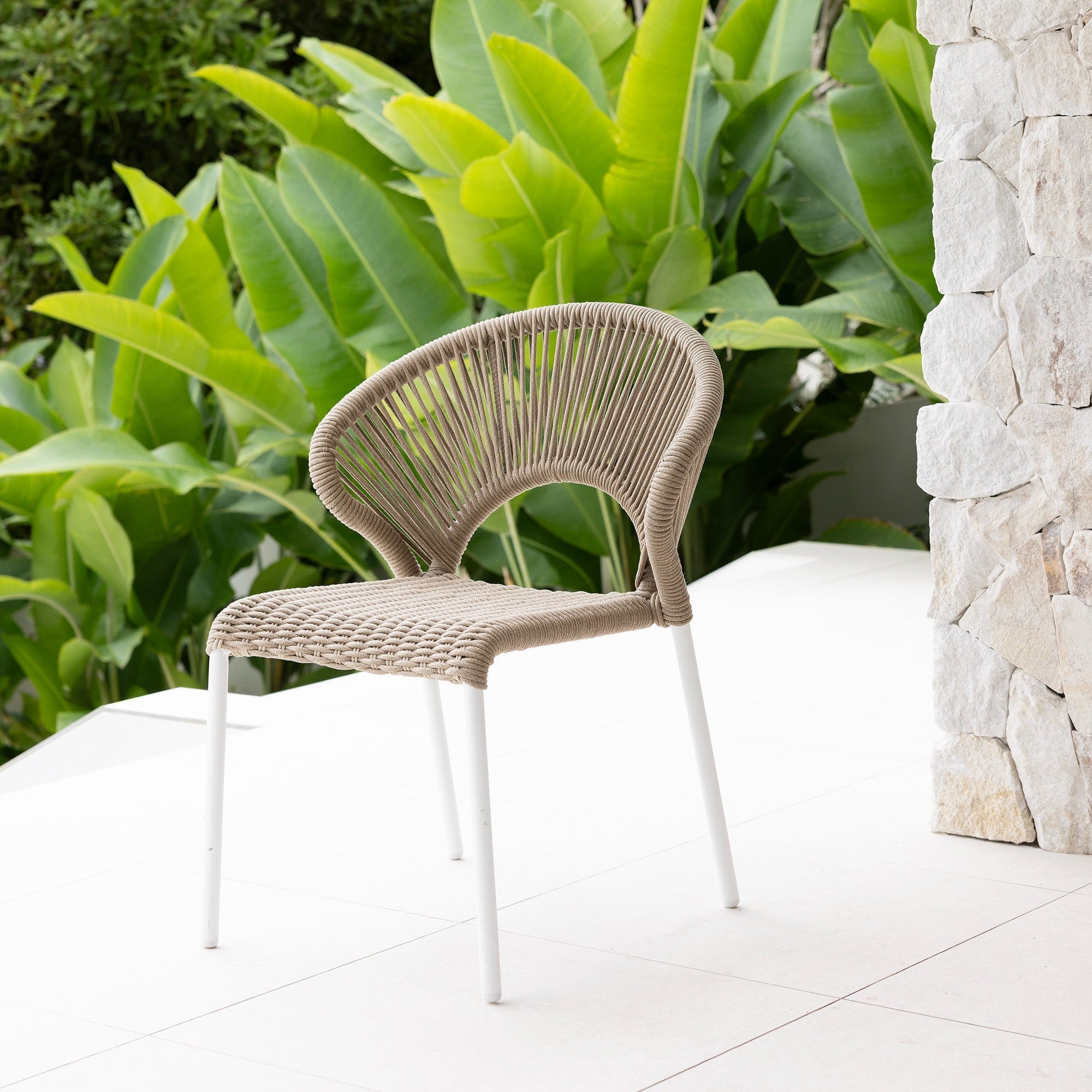 Holly Dining Chair