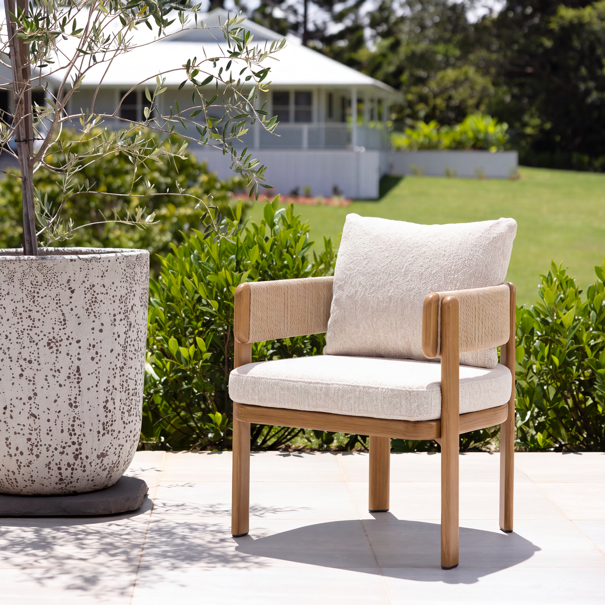 Harbour Dining Chair - Teak | Beige Boucle