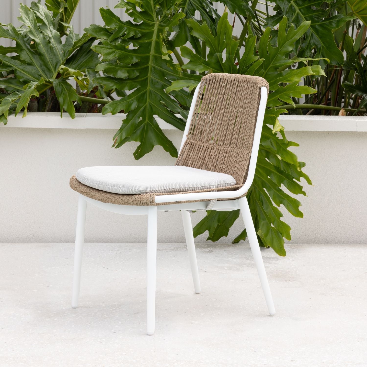Arona Dining Chair