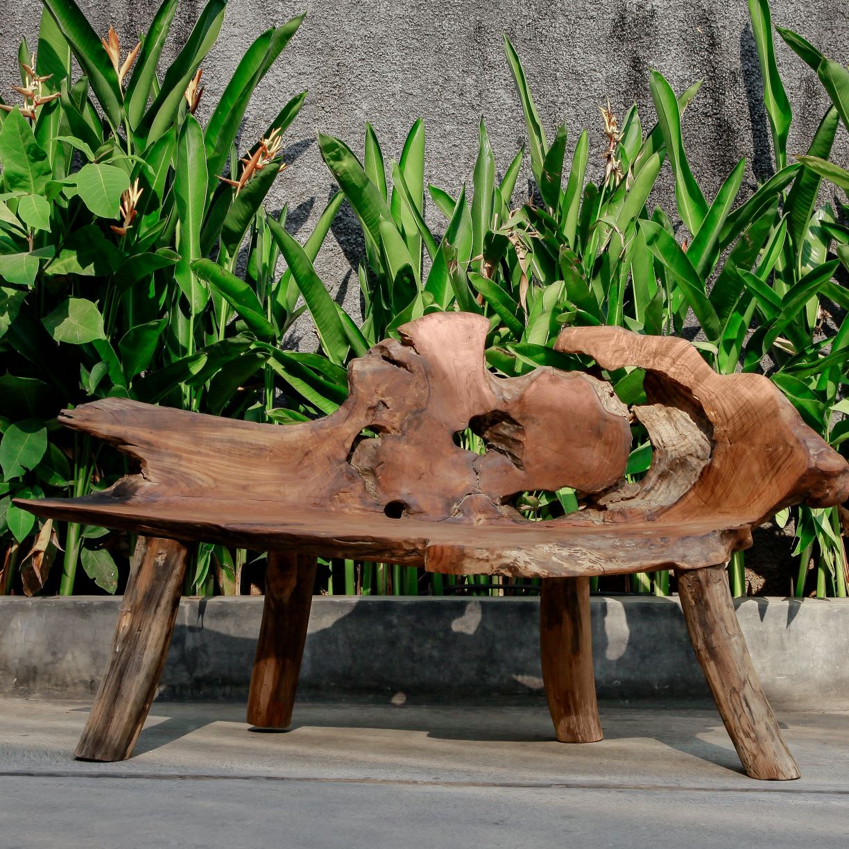 Teak root on sale garden furniture