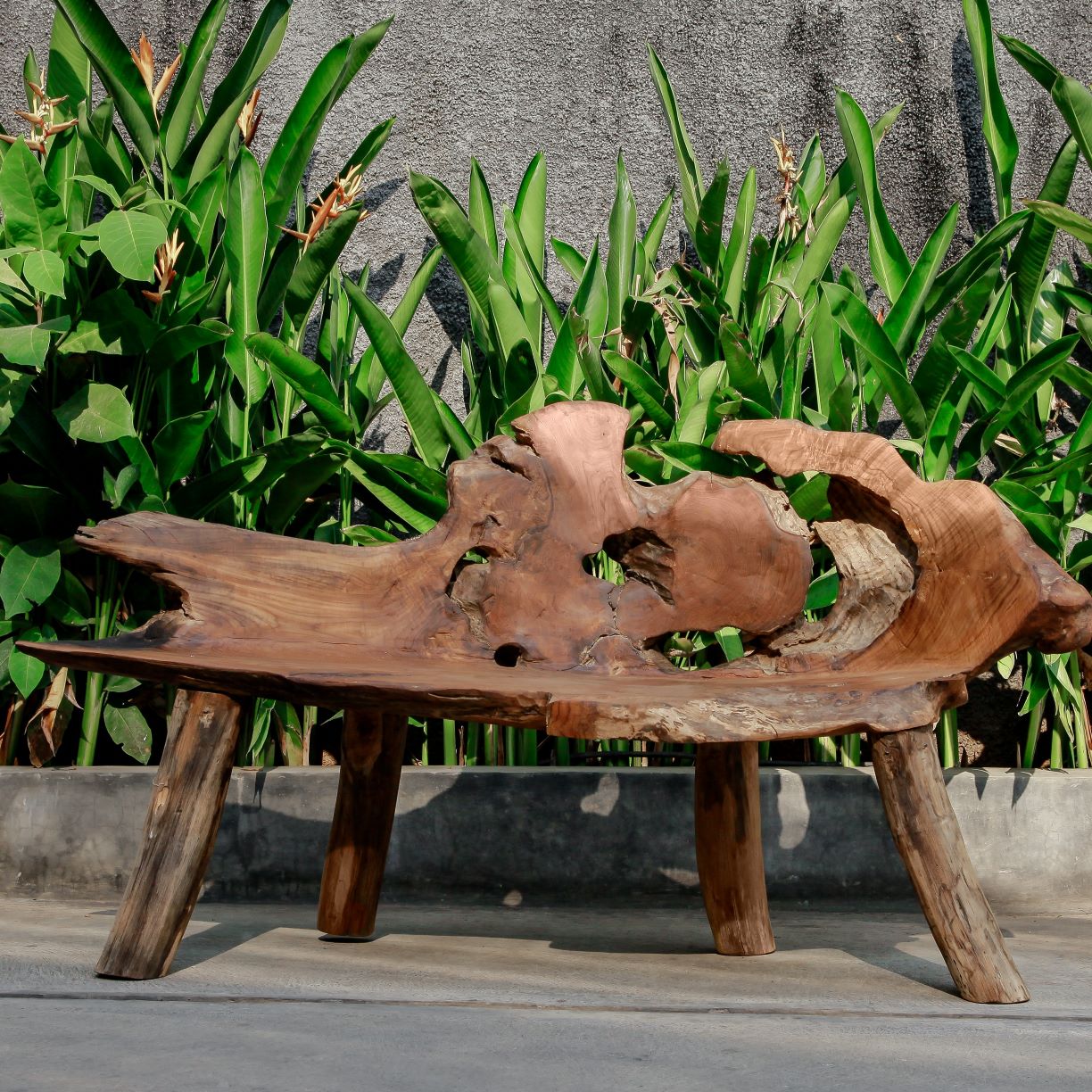 TEAK ROOT WOOD COLLECTION