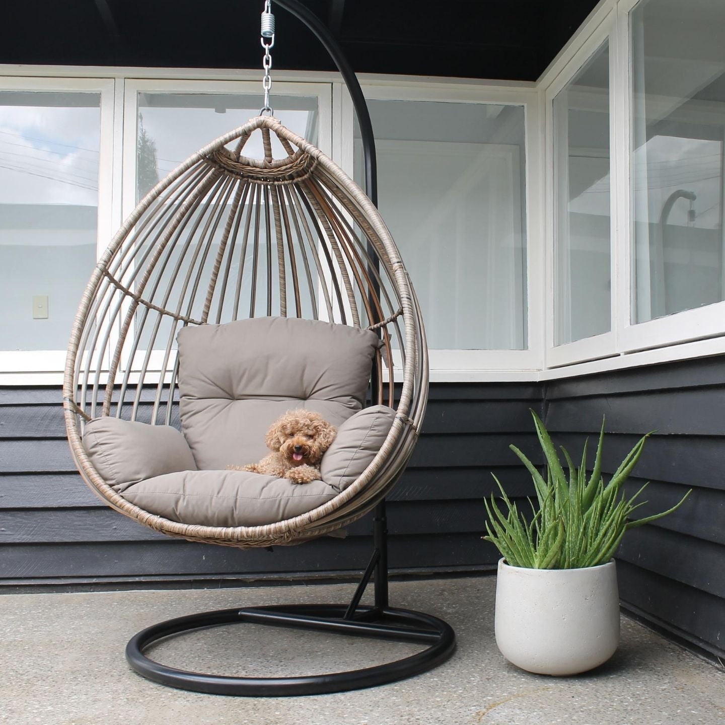 Eden Hanging Chair