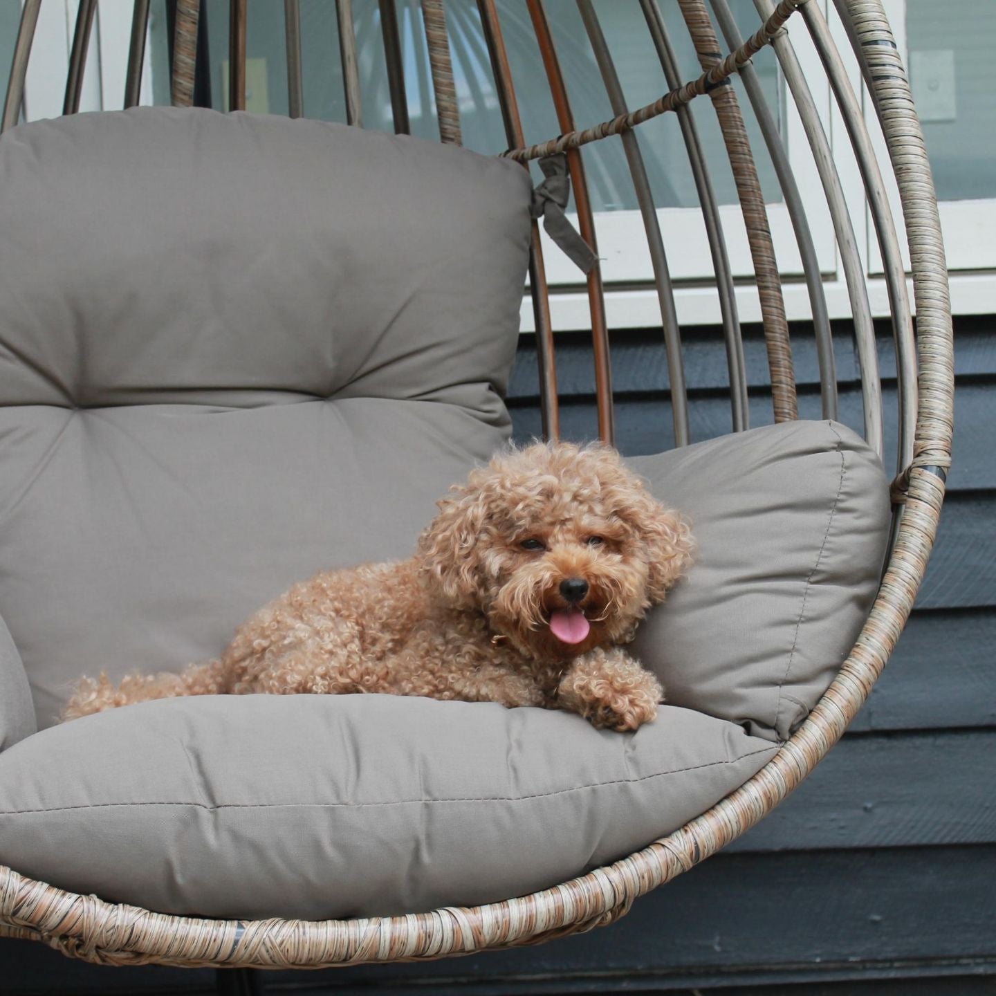 Eden Hanging Chair